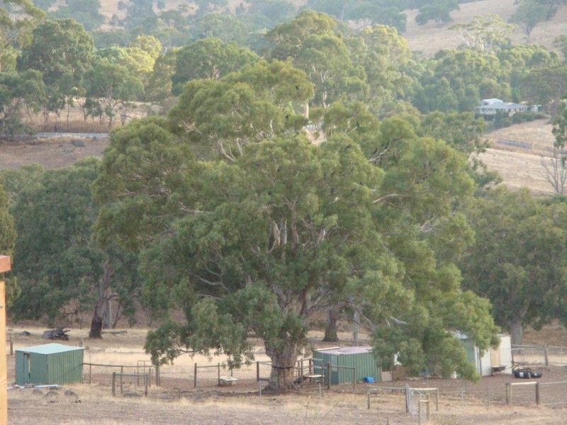 Lot 25 Ironstone Range Rd, Dawesley SA 5252