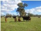 Lot 704 Glover Street, Kersbrook SA 5231