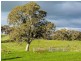 Lot 2 Woodlands Road, Gumeracha SA 5233