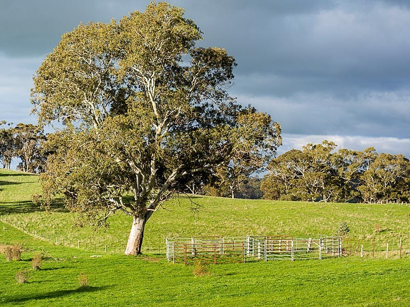 Lot 2 Woodlands Road, Gumeracha SA 5233