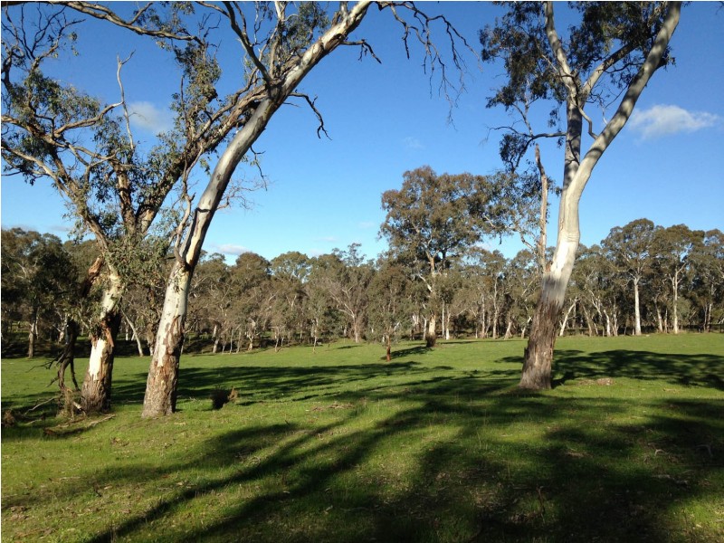 29 Hammer Road, Mount Torrens SA 5244