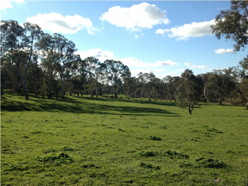 29 Hammer Road, Mount Torrens SA 5244