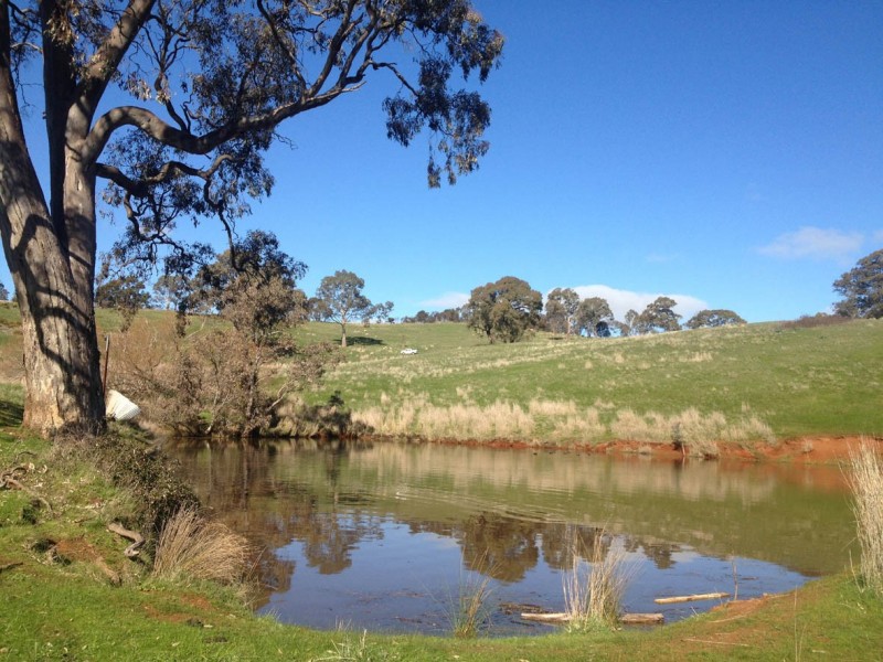 Lot 1 Norsworthy Road / Hill Road, Kersbrook SA 5231