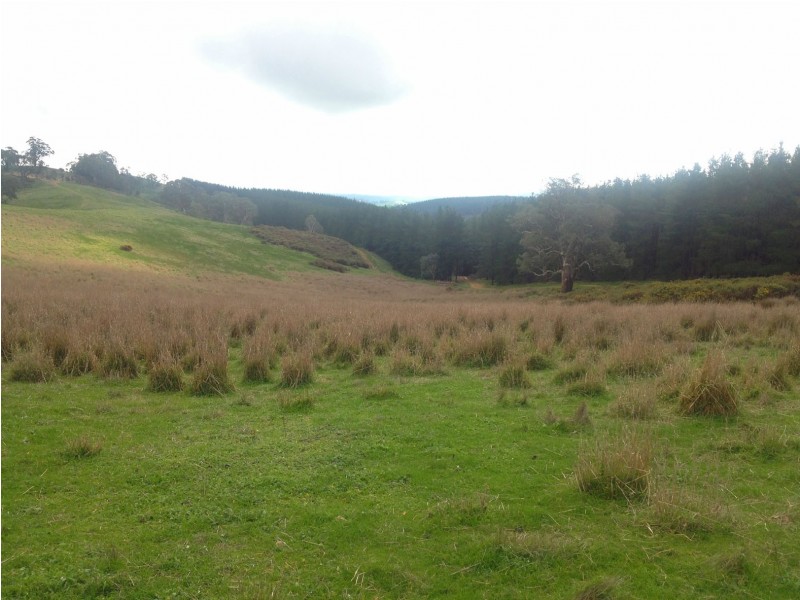 Lot 1 Norsworthy Road / Hill Road, Kersbrook SA 5231