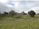 Lot 1 Norsworthy Road / Hill Road, Kersbrook SA 5231