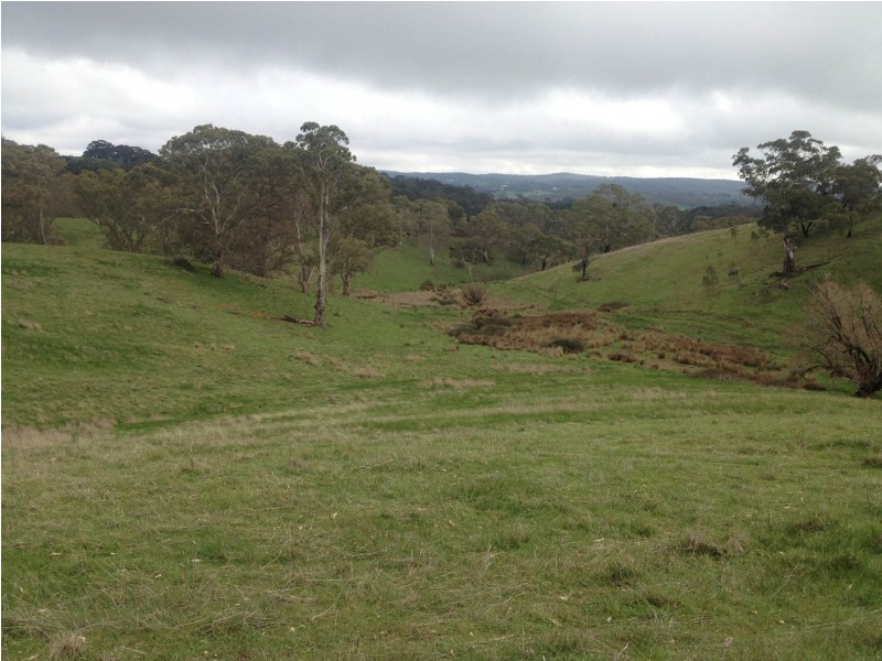 Lot 1 Norsworthy Road / Hill Road, Kersbrook SA 5231