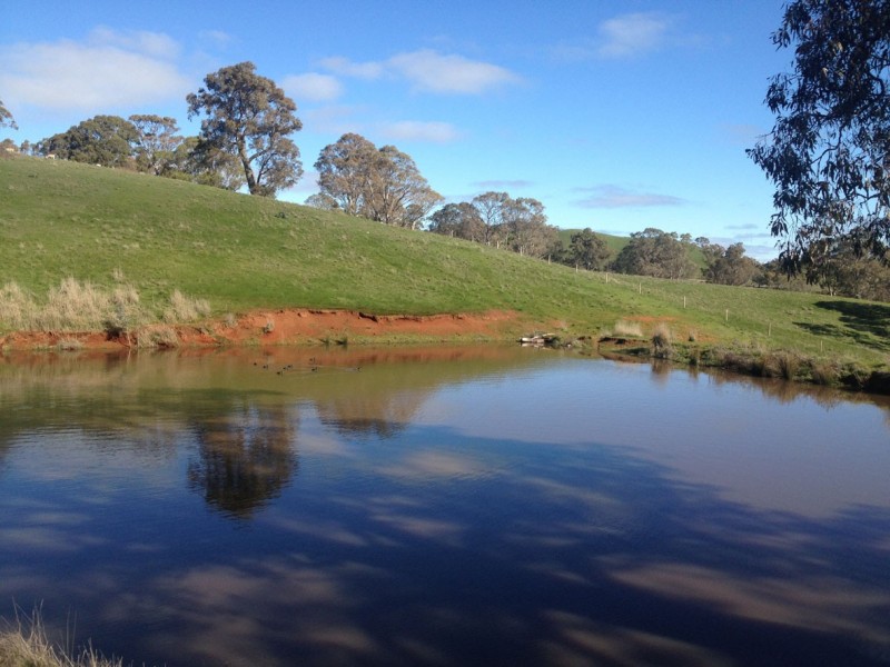 Lot 1 Norsworthy Road / Hill Road, Kersbrook SA 5231