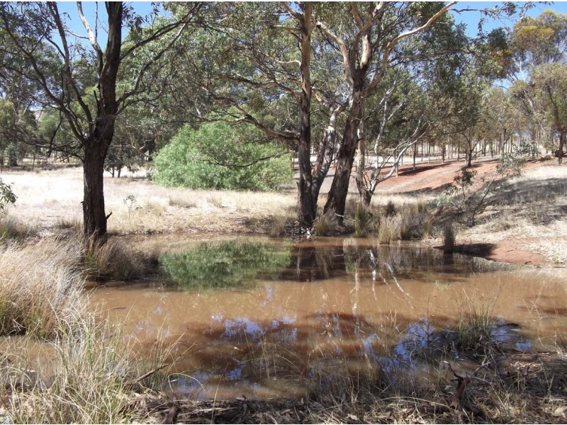 Lot 104 Valley Springs Road, Palmer SA 5237