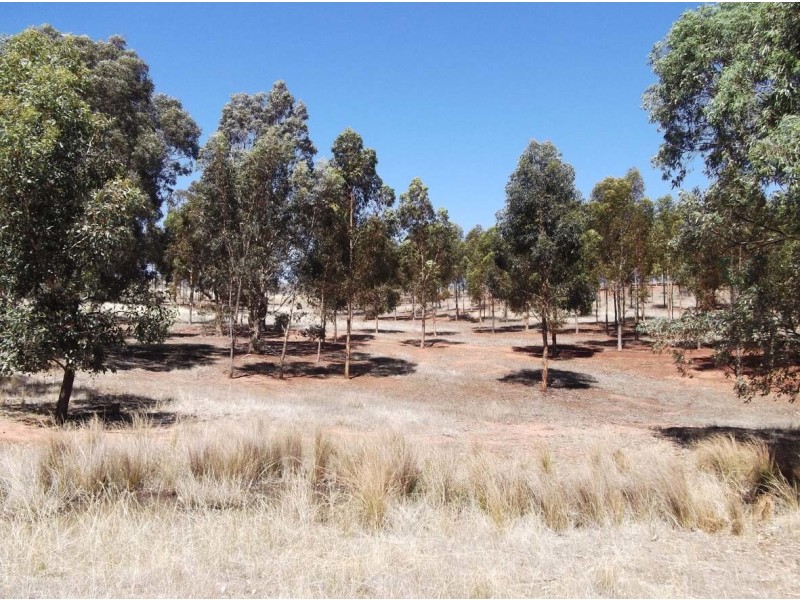 Lot 104 Valley Springs Road, Palmer SA 5237