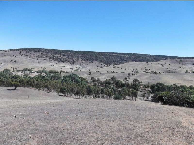 Lot 104 Valley Springs Road, Palmer SA 5237
