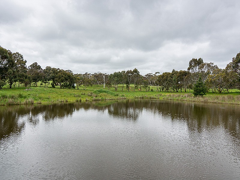 98 Lacey Road, Bugle Ranges SA 5251