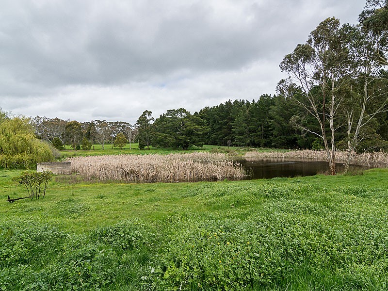 98 Lacey Road, Bugle Ranges SA 5251