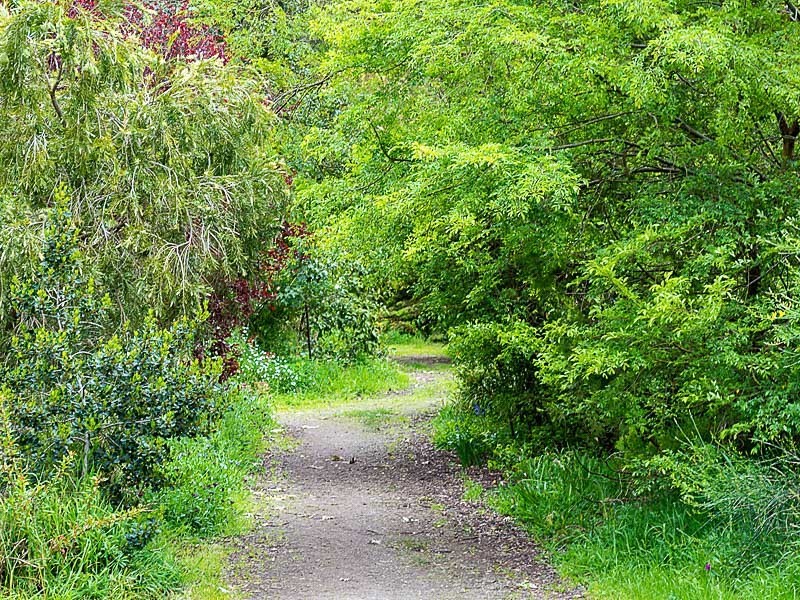 98 Lacey Road, Bugle Ranges SA 5251