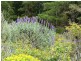 98 Lacey Road, Bugle Ranges SA 5251