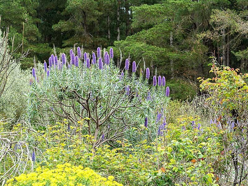 98 Lacey Road, Bugle Ranges SA 5251