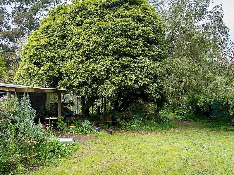 98 Lacey Road, Bugle Ranges SA 5251