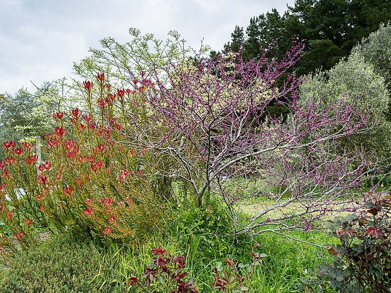 98 Lacey Road, Bugle Ranges SA 5251