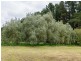 98 Lacey Road, Bugle Ranges SA 5251