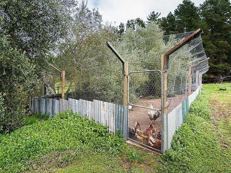 98 Lacey Road, Bugle Ranges SA 5251