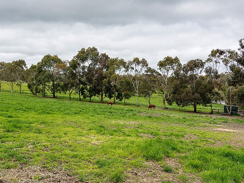 98 Lacey Road, Bugle Ranges SA 5251