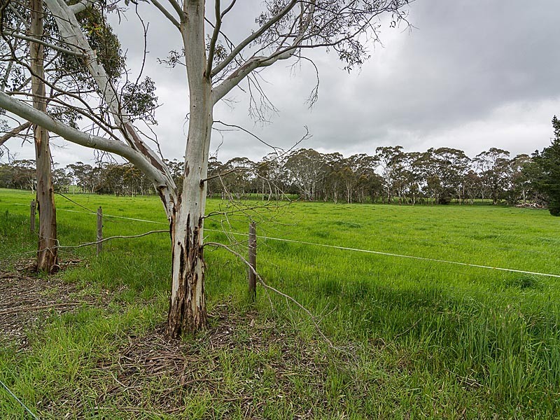 98 Lacey Road, Bugle Ranges SA 5251