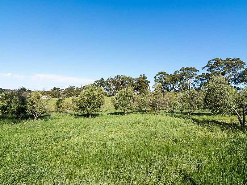 196 Greenhills-Flaxley Road, Flaxley SA 5153