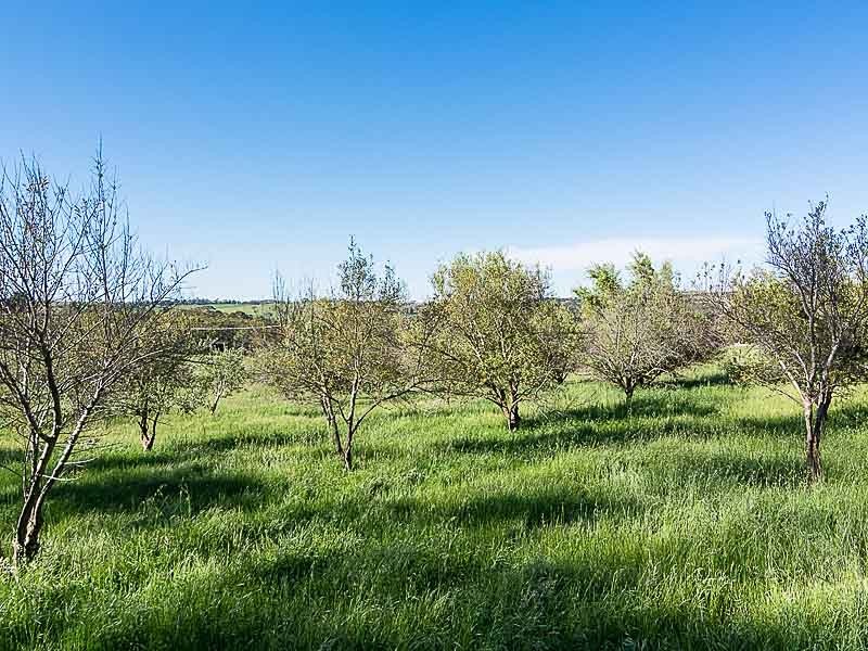 196 Greenhills-Flaxley Road, Flaxley SA 5153