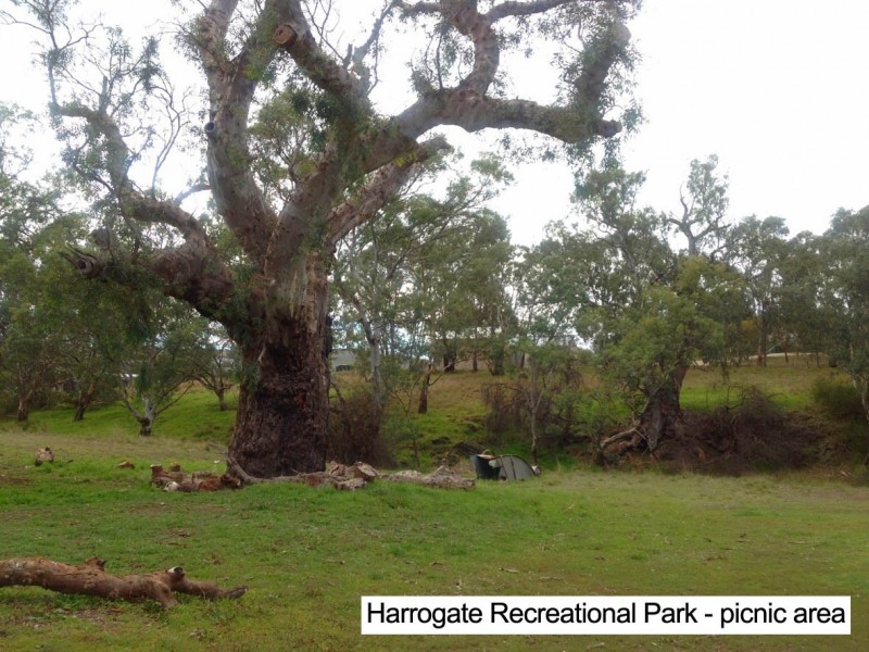 6 (Lot 93) Mail Road, Harrogate SA 5244