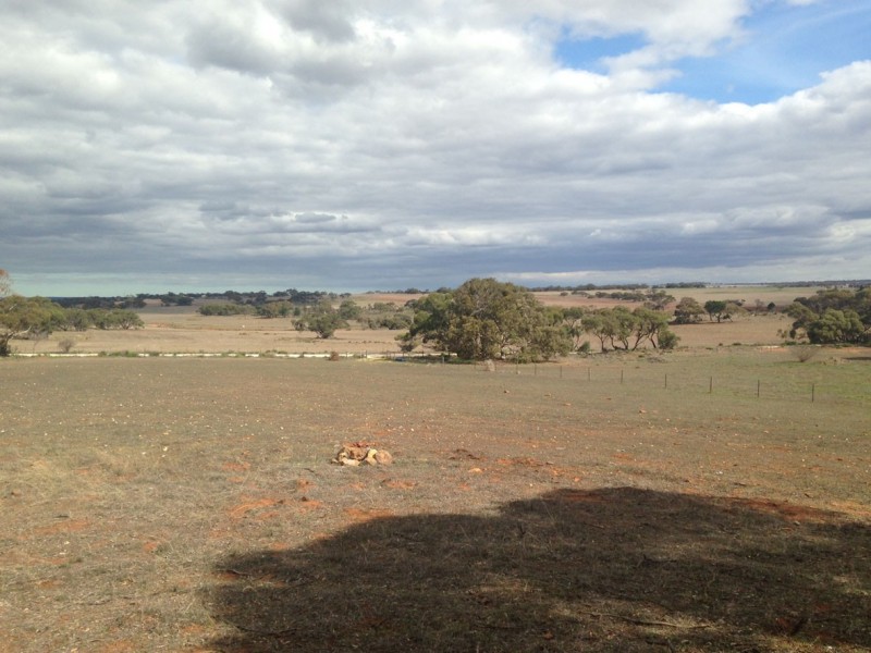 Lot 96 Anders Road, Rockleigh SA 5254