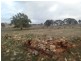Lot 96 Anders Road, Rockleigh SA 5254