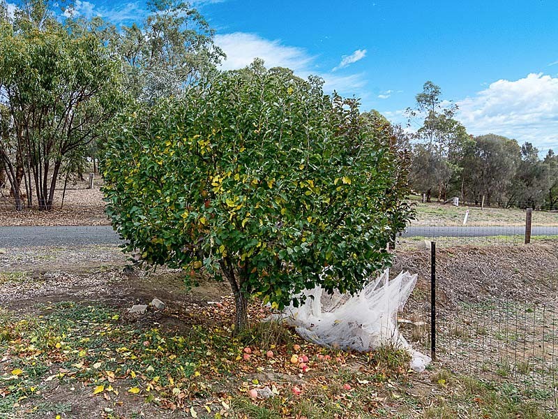 135 Beasley Road, Oakbank SA 5243