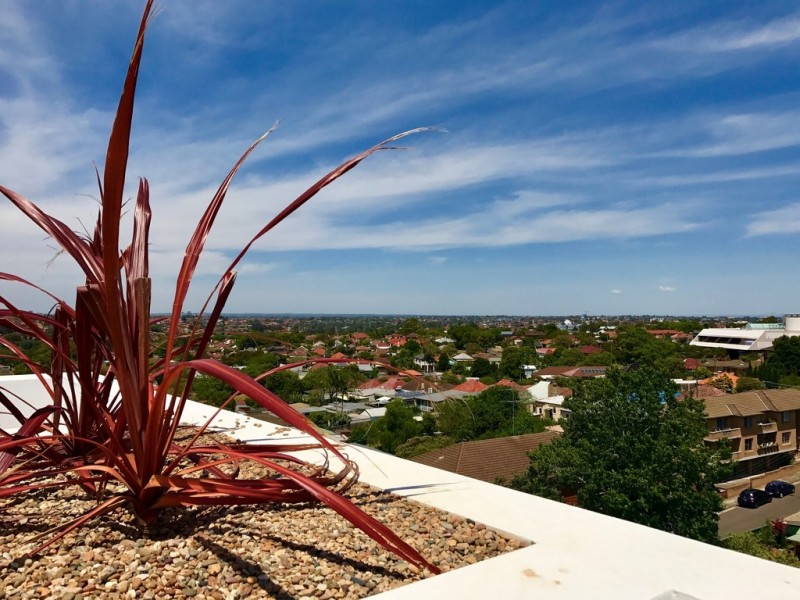 21/630 New Canterbury Road, Hurlstone Park NSW 2193