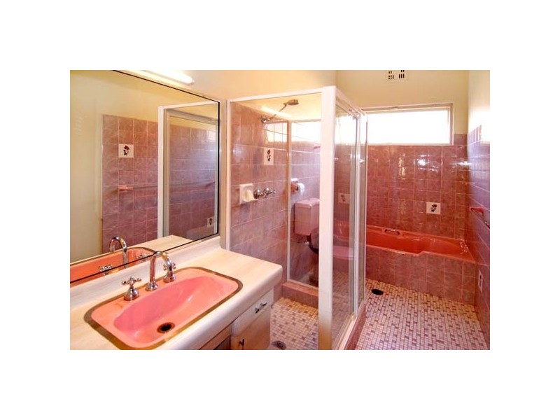 24 Hamilton Avenue, Earlwood NSW 2206