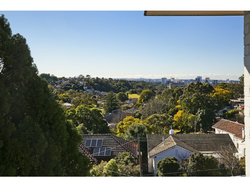 19 Hocking Avenue, Earlwood NSW 2206