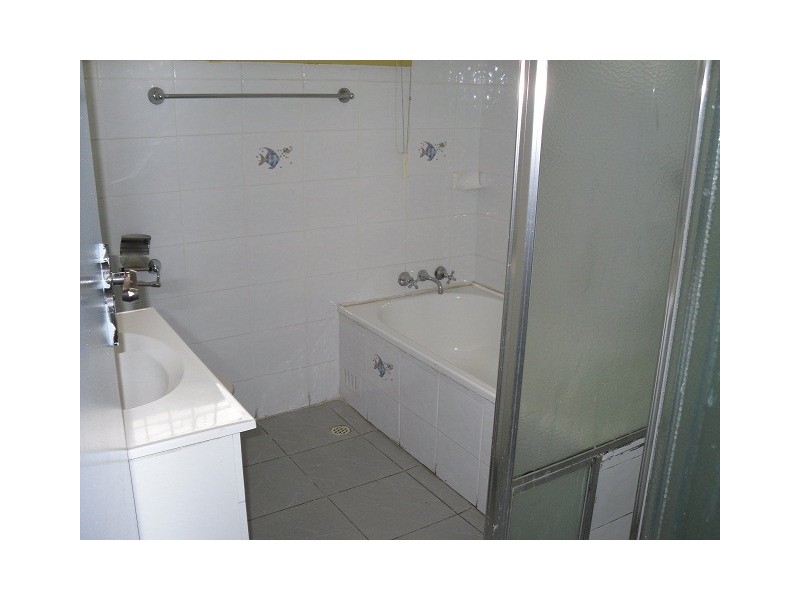 116 Silver St, St Peters NSW 2044