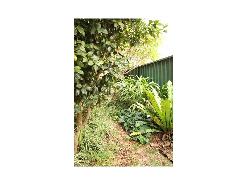 4/30 Ewart Street, Marrickville NSW 2204