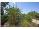 11 Lymerston Street, Tempe NSW 2044