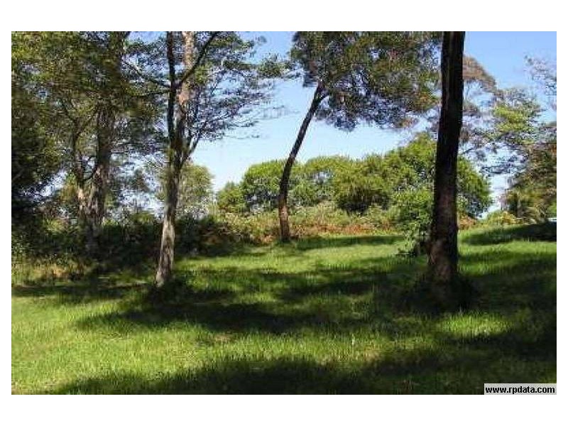 89 Springfield Road, Springfield NSW 2250