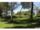 89 Springfield Road, Springfield NSW 2250