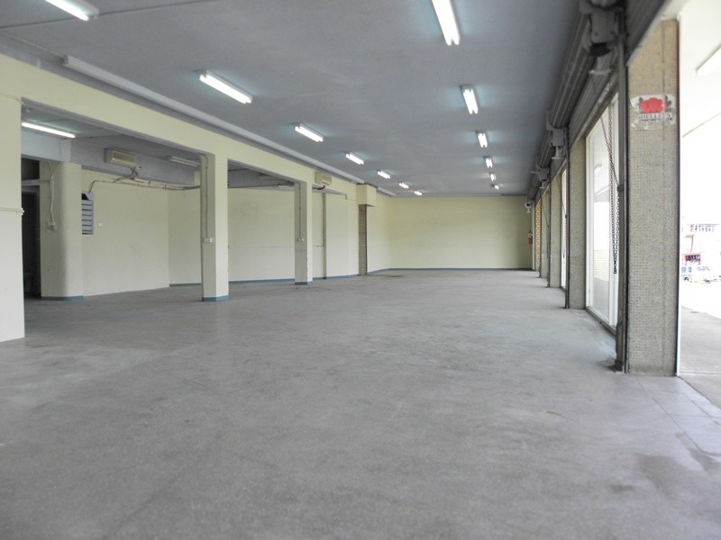 Strathfield NSW 2135