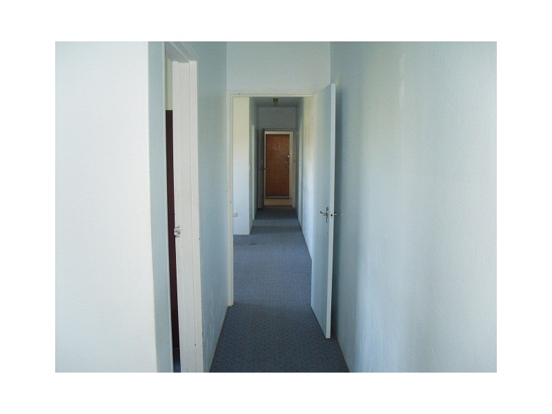 8/336 Livingstone Road, Marrickville NSW 2204