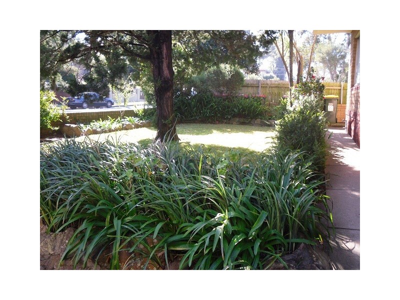 8/336 Livingstone Road, Marrickville NSW 2204