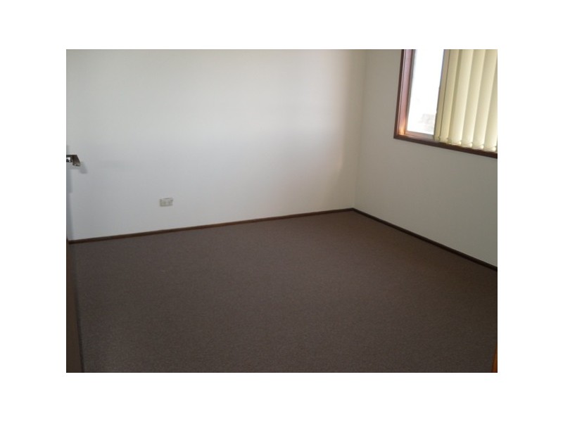 19 Angus Street, Earlwood NSW 2206