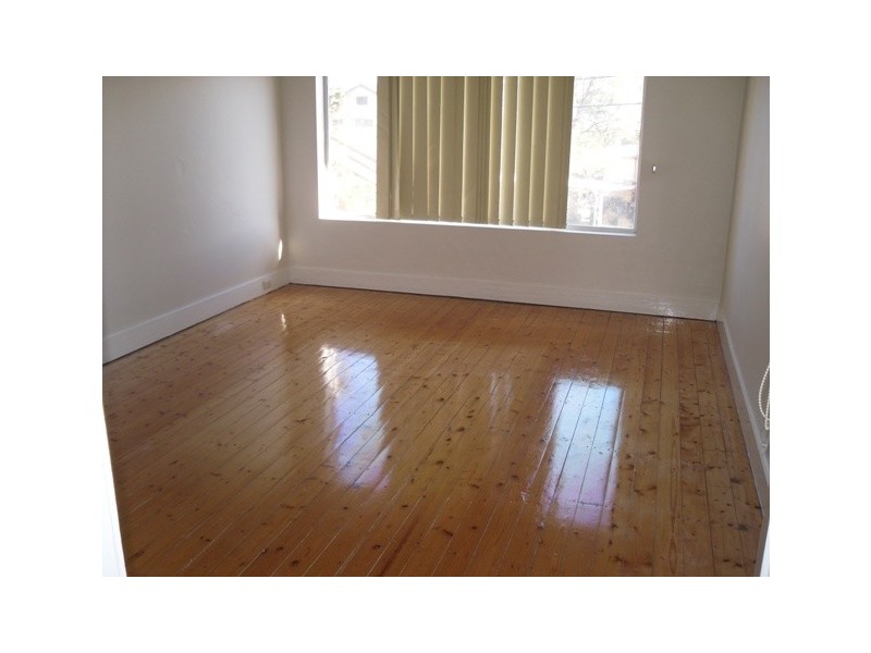 19 Angus Street, Earlwood NSW 2206