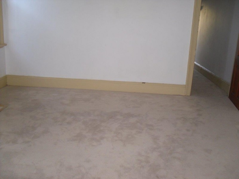 88 Silver Street, Marrickville NSW 2204