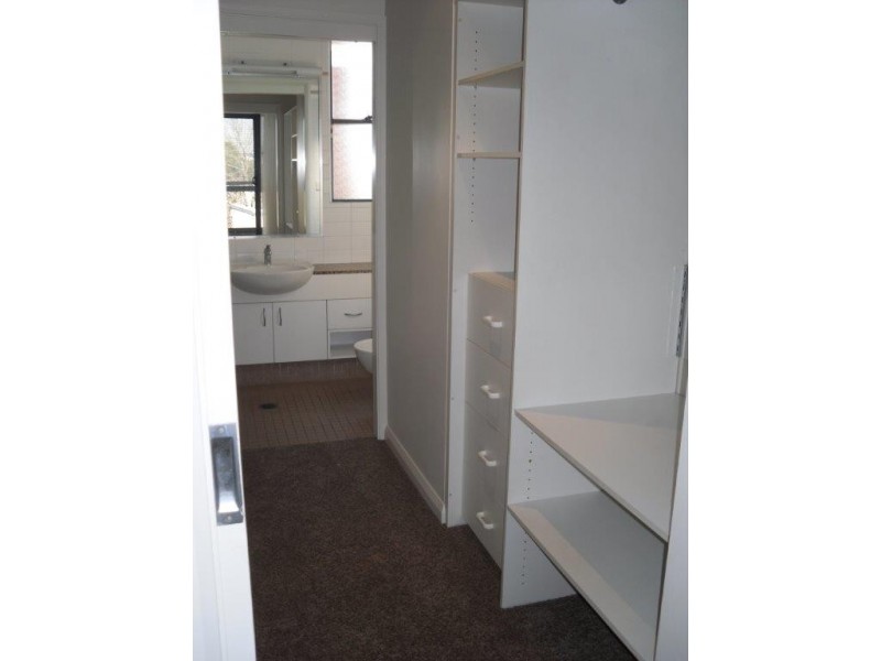 3/286 Marrickville Road, Marrickville NSW 2204