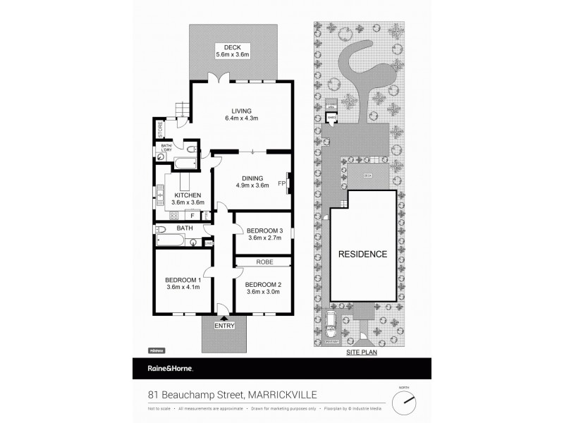 81 Beauchamp Street, Marrickville NSW 2204 Floorplan