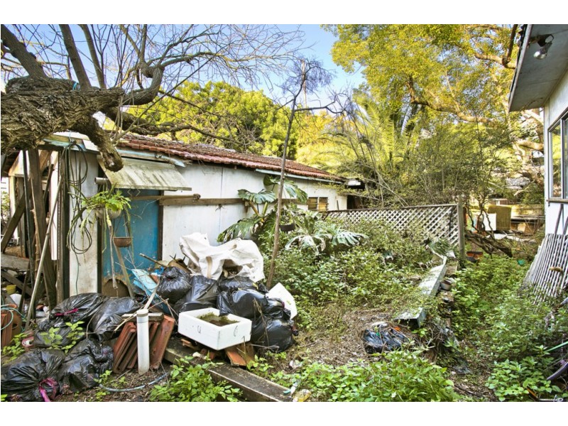 67 Windsor Road, Dulwich Hill NSW 2203