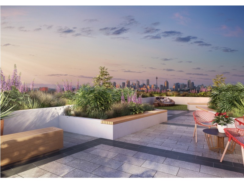 Dulwich Hill NSW 2203