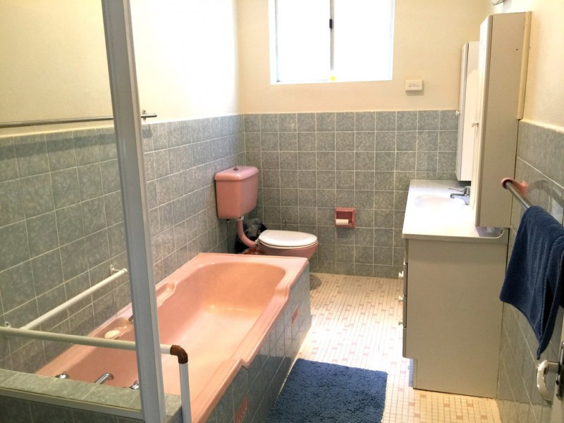 18 Fernhill Street, Hurlstone Park NSW 2193